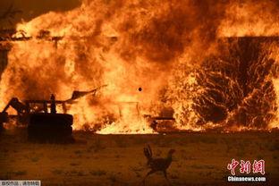 依旧失控,揭秘现代社会的焦虑与挑战