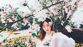 爱欲芳菲尽,探寻情感世界的变迁与归宿